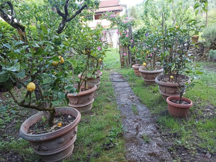 Image No.32-6 Bed Villa for sale