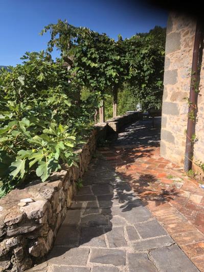 Image No.25-Maison de 3 chambres à vendre à Barga