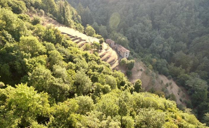 Image No.38-Maison de 3 chambres à vendre à Barga