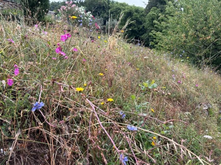 Image No.60-Maison de 3 chambres à vendre à Barga