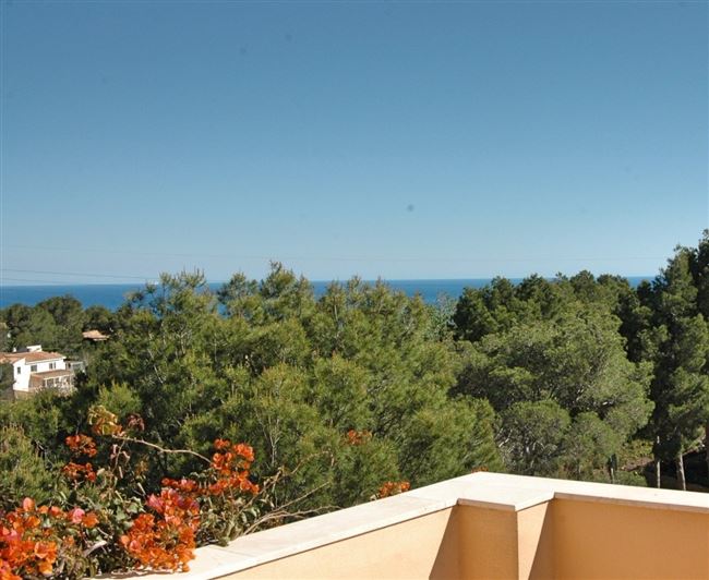 Image No.7-3 Bed Villa for sale