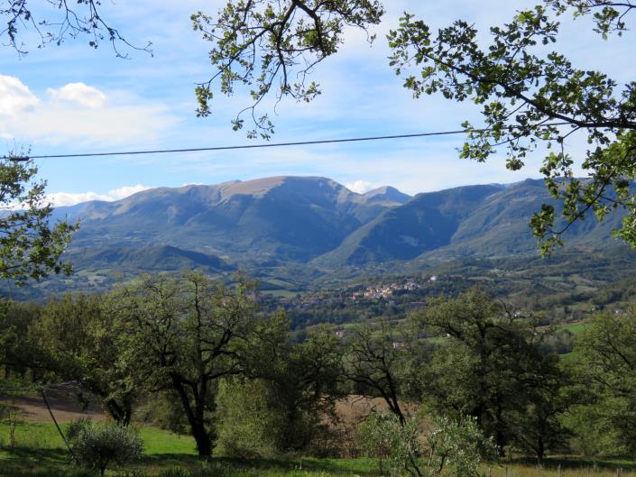 Image No.28-4 Bed Country House for sale