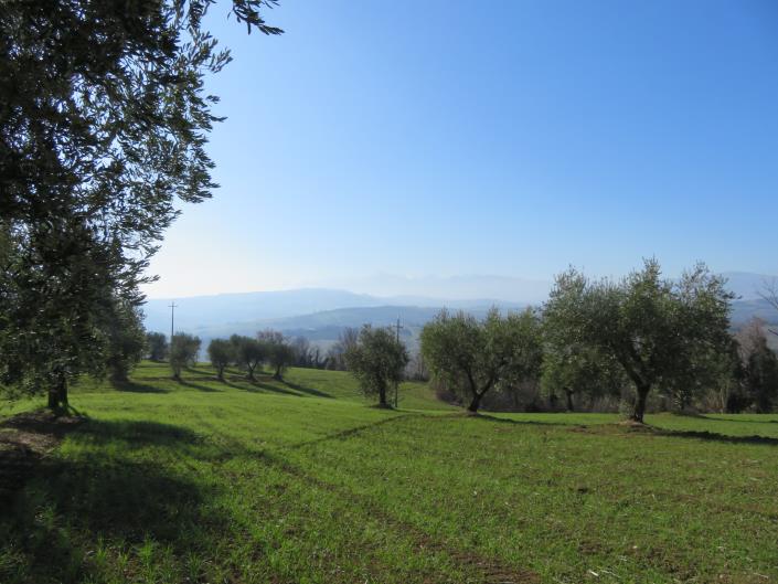 Image No.27-10 Bed Country Property for sale