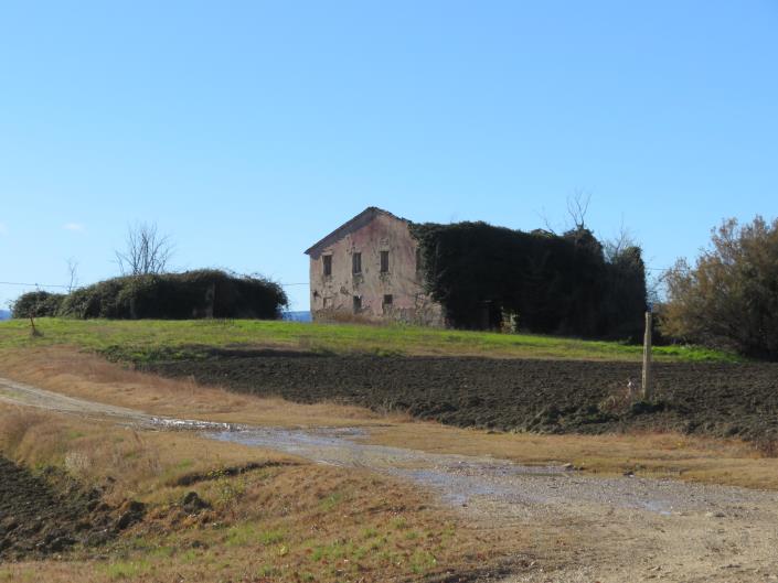 Image No.11-Ferme de 3 chambres à vendre à Treia