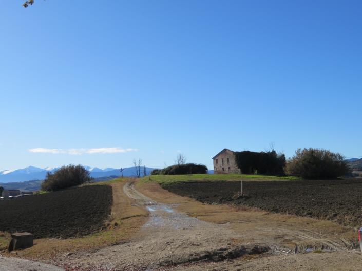 Image No.13-Ferme de 3 chambres à vendre à Treia