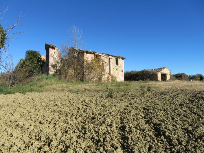 Image No.6-Ferme de 3 chambres à vendre à Treia