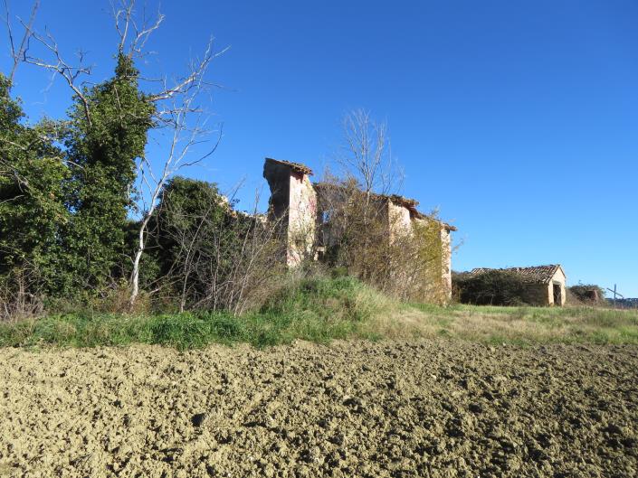 Image No.7-Ferme de 3 chambres à vendre à Treia