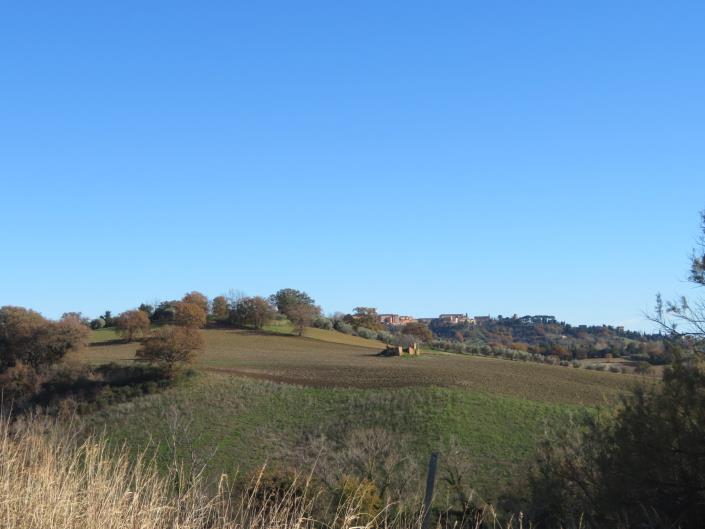 Image No.17-Ferme de 3 chambres à vendre à Treia
