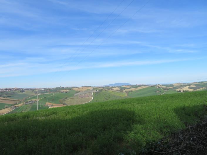 Image No.40-Maison / Villa de 11 chambres à vendre à Montecassiano