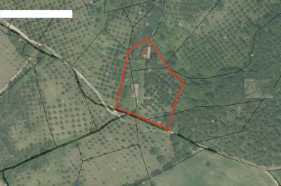 15-Geolocalizzazione