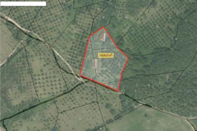 16-Geolocalizzazione-con-quantita-terreno