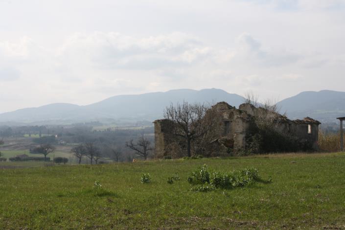 Image No.4-Propriété de pays à vendre à Appignano