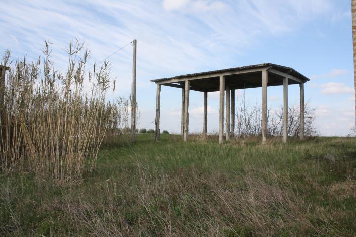 Image No.6-Propriété de pays à vendre à Appignano