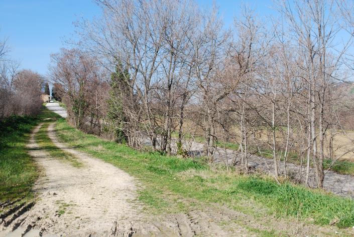 Image No.8-Maison de campagne à vendre à Potenza Picena