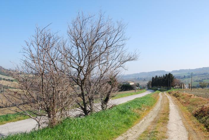 Image No.9-Maison de campagne à vendre à Potenza Picena