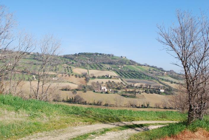 Image No.12-Maison de campagne à vendre à Potenza Picena