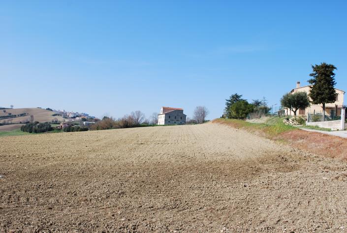 Image No.4-Ferme à vendre à Potenza Picena