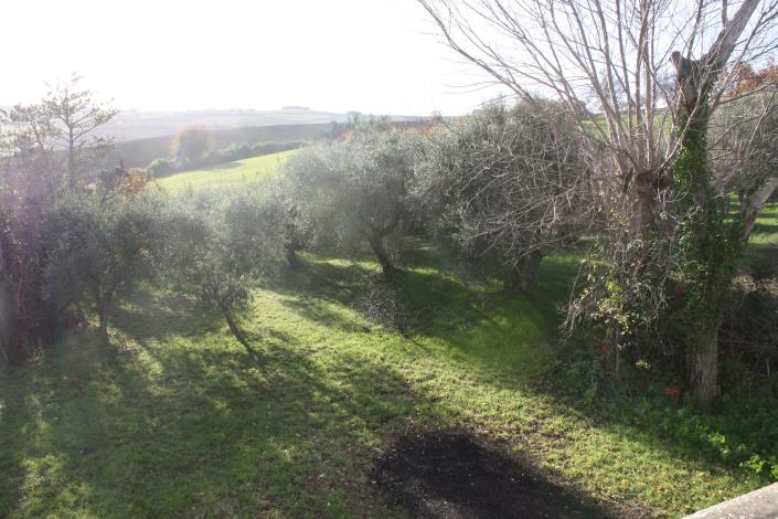 Image No.14-Ferme de 4 chambres à vendre à Filottrano