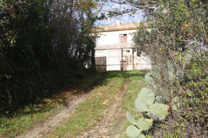Image No.17-Ferme de 4 chambres à vendre à Filottrano
