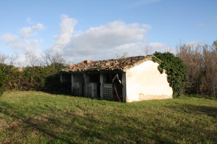 Image No.8-Ferme de 4 chambres à vendre à Filottrano