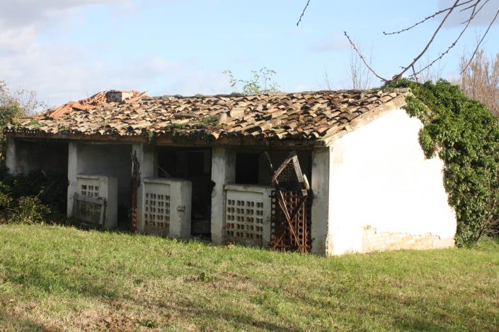 Image No.9-Ferme de 4 chambres à vendre à Filottrano