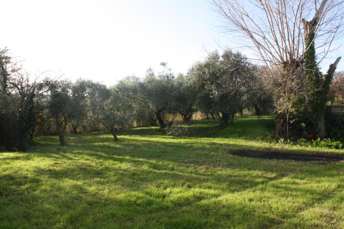 Image No.10-Ferme de 4 chambres à vendre à Filottrano