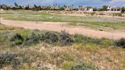 WhatsApp-Image-2025-05-19-at-18-22-37_8538d82f