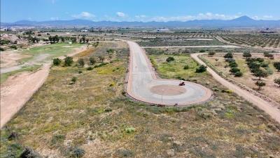 WhatsApp-Image-2025-05-19-at-18-22-37_b7bae338