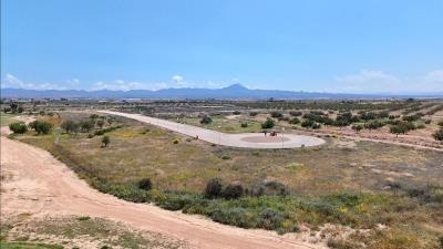 WhatsApp-Image-2025-05-19-at-18-22-37_b72f6a2c