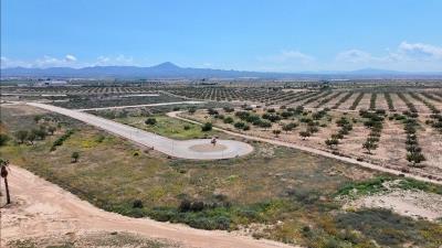 WhatsApp-Image-2025-05-19-at-18-22-37_ffd74728