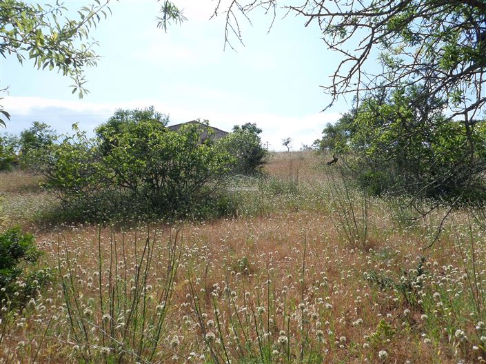 Image No.12-Plot for sale