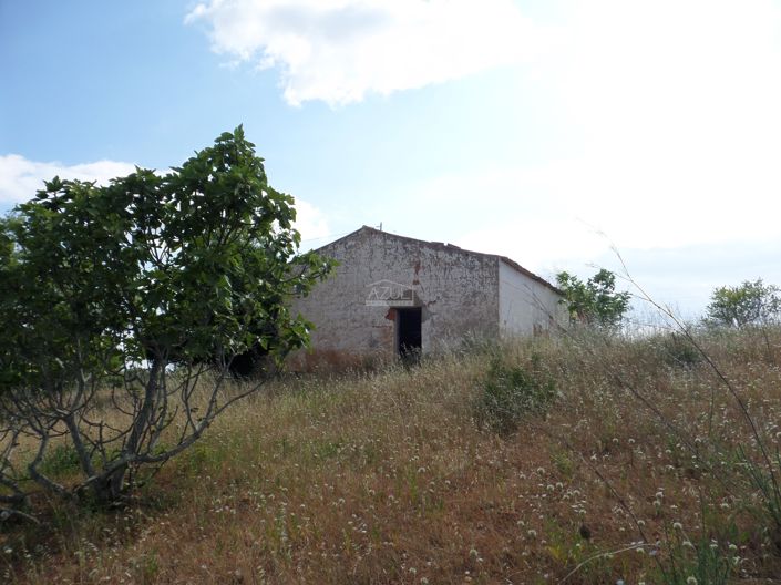 Image No.2-Plot for sale