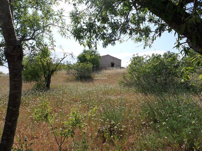 Image No.3-Plot for sale