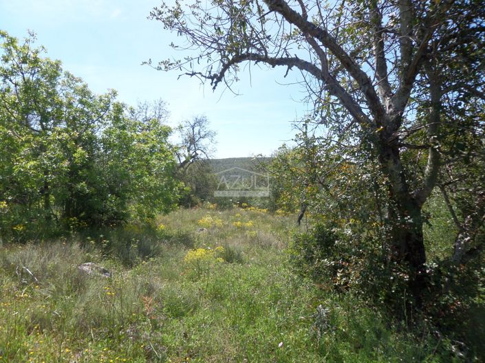 Image No.7-Plot for sale