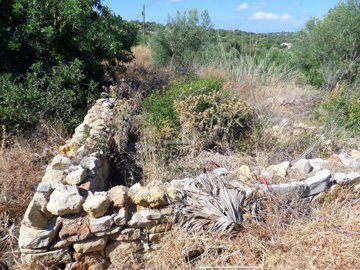 2425-76734-1254606e3c95c5e5ce938638595c7f664a