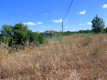 2425-76734-1254606e3c95c5e5ce938638595c7f664a