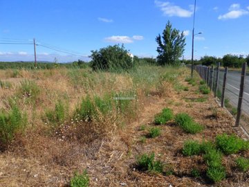 2425-76734-1254606e3c95c5e5ce938638595c7f664a