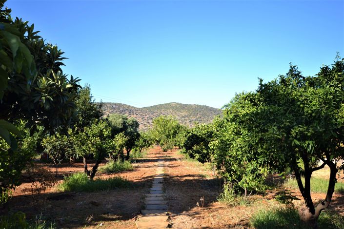 Image No.23-Villa de 3 chambres à vendre à Loule