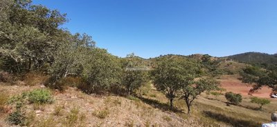 2425-231039-1254606e3c95c5e5ce938638595c7f664