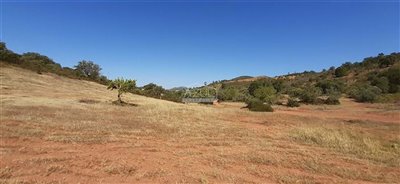 2425-231039-1254606e3c95c5e5ce938638595c7f664