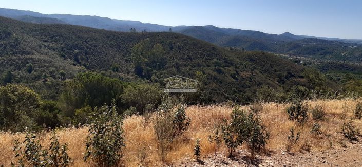 Image No.19-Land for sale