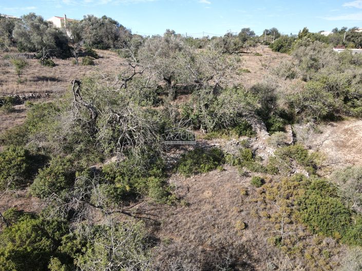 Image No.11-Terre à vendre à Loule