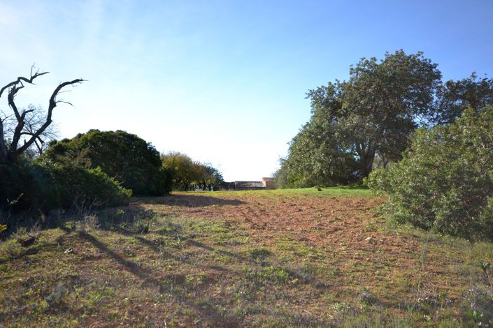 Image No.6-Land for sale