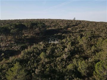 2425-255463-1254606e3c95c5e5ce938638595c7f664