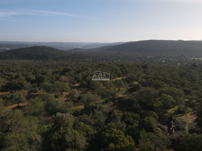 Image No.14-Plot for sale