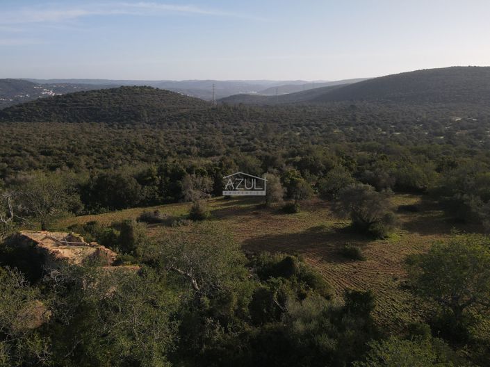 Image No.2-Plot for sale