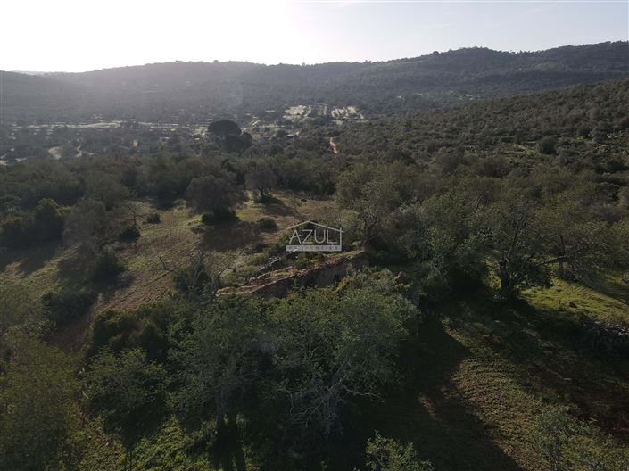 Image No.22-Plot for sale