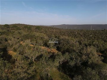 2425-255463-1254606e3c95c5e5ce938638595c7f664