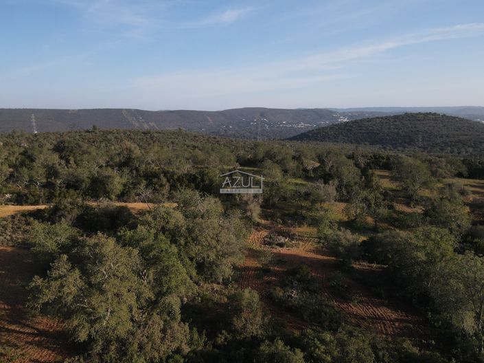 Image No.7-Plot for sale