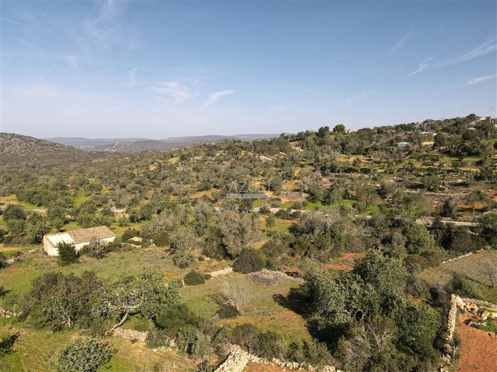 Image No.11-Plot for sale